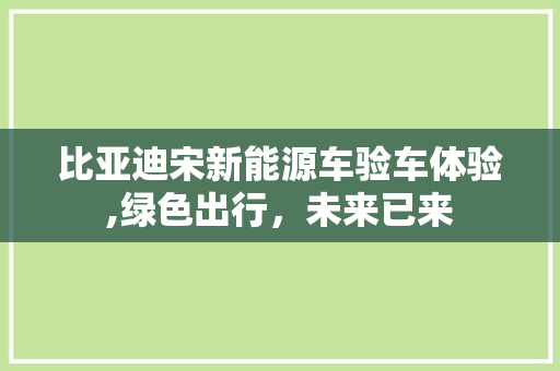 比亚迪宋新能源车验车体验,绿色出行，未来已来