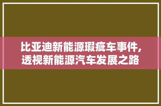 比亚迪新能源瑕疵车事件,透视新能源汽车发展之路