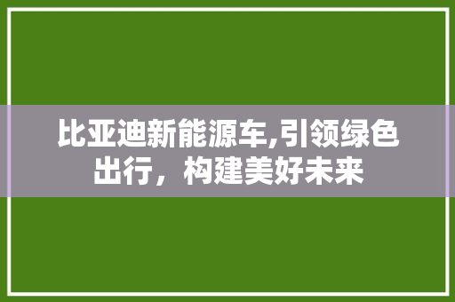比亚迪新能源车,引领绿色出行，构建美好未来