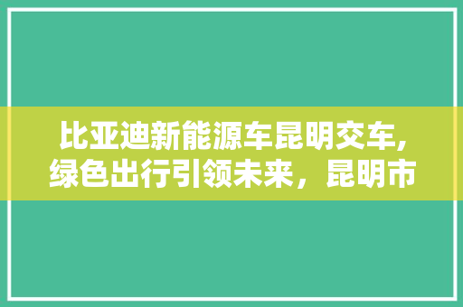 比亚迪新能源车昆明交车,绿色出行引领未来，昆明市民共筑蓝天白云