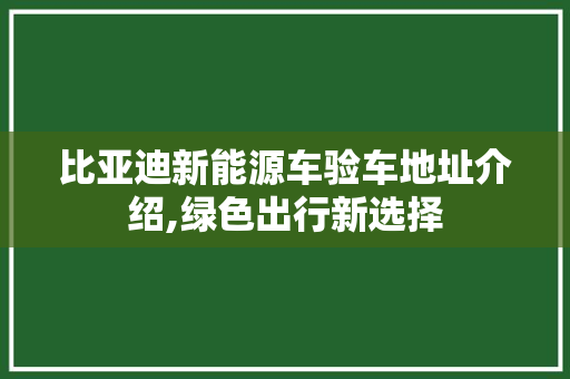 比亚迪新能源车验车地址介绍,绿色出行新选择