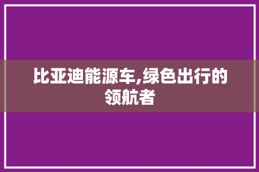比亚迪能源车,绿色出行的领航者