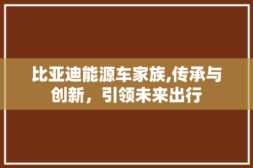 比亚迪能源车家族,传承与创新，引领未来出行