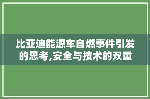 比亚迪能源车自燃事件引发的思考,安全与技术的双重挑战
