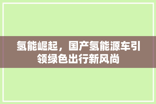 氢能崛起，国产氢能源车引领绿色出行新风尚