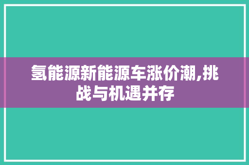 氢能源新能源车涨价潮,挑战与机遇并存