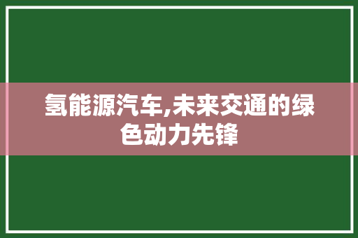 氢能源汽车,未来交通的绿色动力先锋