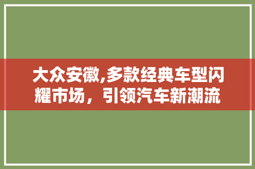 大众安徽,多款经典车型闪耀市场，引领汽车新潮流