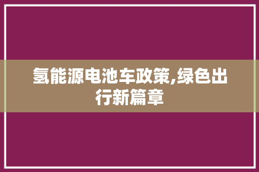 氢能源电池车政策,绿色出行新篇章