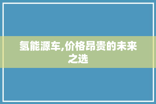 氢能源车,价格昂贵的未来之选