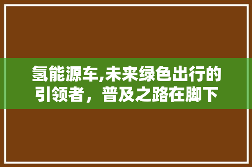氢能源车,未来绿色出行的引领者，普及之路在脚下