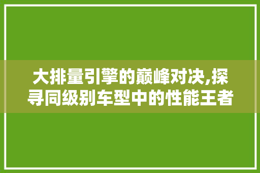 大排量引擎的巅峰对决,探寻同级别车型中的性能王者