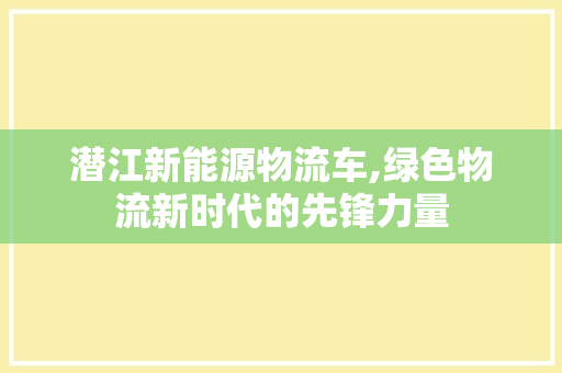 潜江新能源物流车,绿色物流新时代的先锋力量