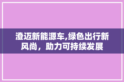 澄迈新能源车,绿色出行新风尚，助力可持续发展