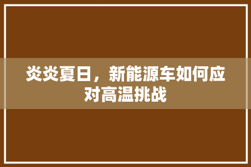 炎炎夏日，新能源车如何应对高温挑战