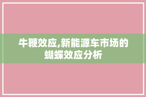 牛鞭效应,新能源车市场的蝴蝶效应分析