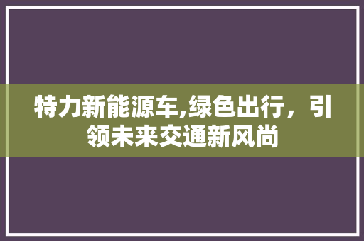 特力新能源车,绿色出行，引领未来交通新风尚