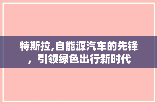 特斯拉,自能源汽车的先锋，引领绿色出行新时代
