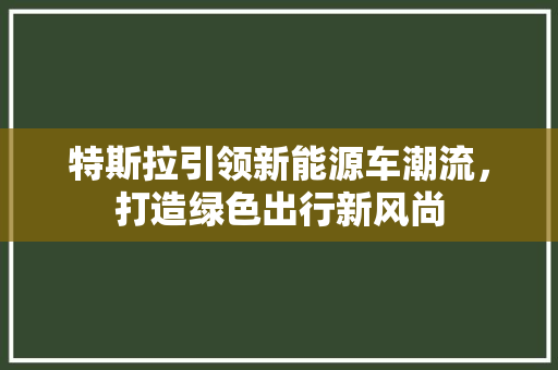 特斯拉引领新能源车潮流，打造绿色出行新风尚