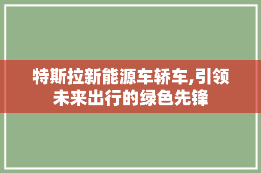 特斯拉新能源车轿车,引领未来出行的绿色先锋