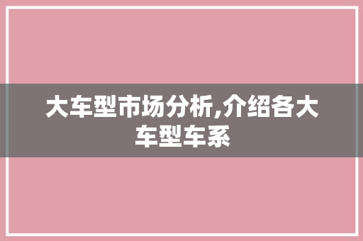 大车型市场分析,介绍各大车型车系