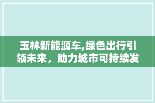 玉林新能源车,绿色出行引领未来，助力城市可持续发展