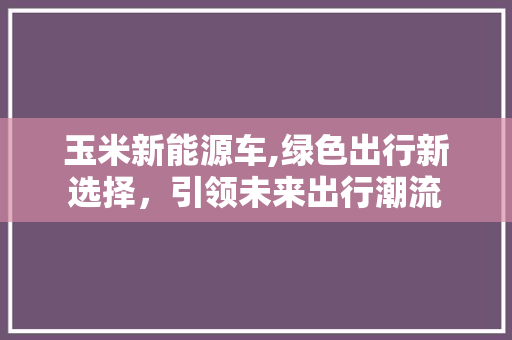 玉米新能源车,绿色出行新选择，引领未来出行潮流