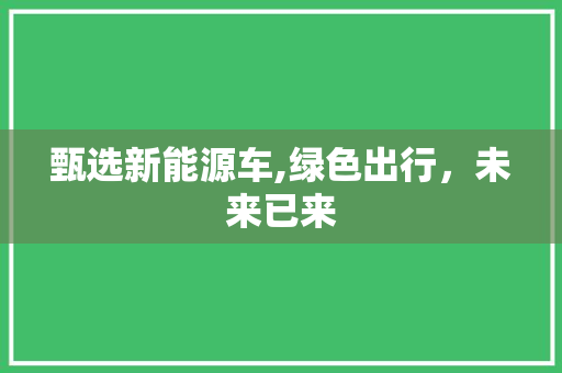 甄选新能源车,绿色出行，未来已来