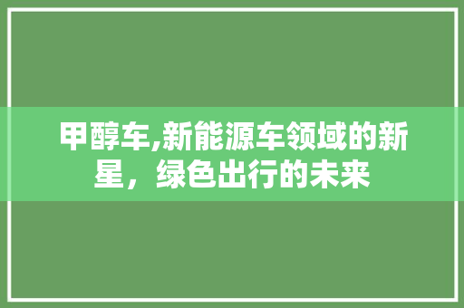 甲醇车,新能源车领域的新星，绿色出行的未来