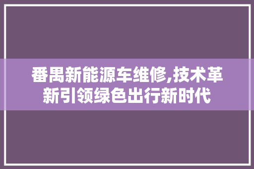 番禺新能源车维修,技术革新引领绿色出行新时代
