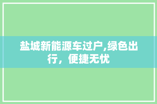 盐城新能源车过户,绿色出行，便捷无忧