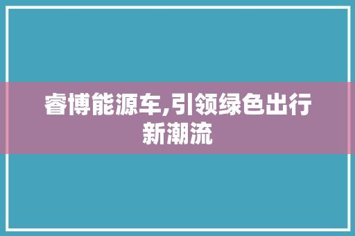 睿博能源车,引领绿色出行新潮流