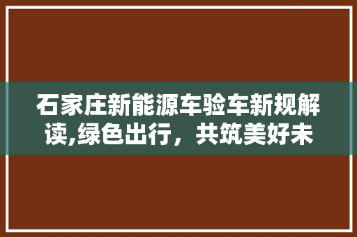 石家庄新能源车验车新规解读,绿色出行，共筑美好未来