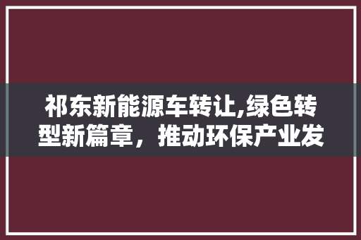 祁东新能源车转让,绿色转型新篇章，推动环保产业发展