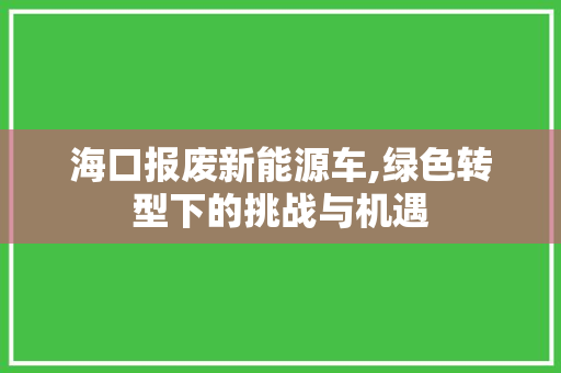 海口报废新能源车,绿色转型下的挑战与机遇