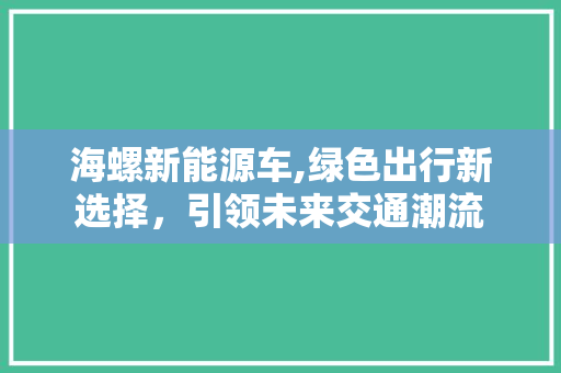 海螺新能源车,绿色出行新选择，引领未来交通潮流
