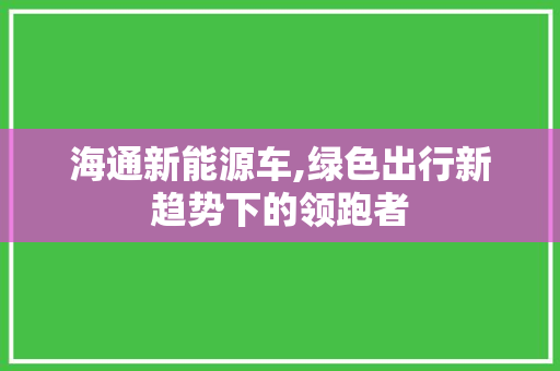 海通新能源车,绿色出行新趋势下的领跑者