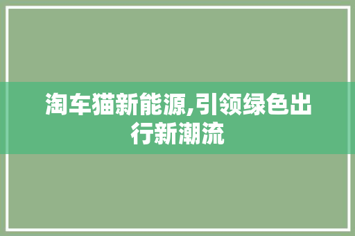 淘车猫新能源,引领绿色出行新潮流