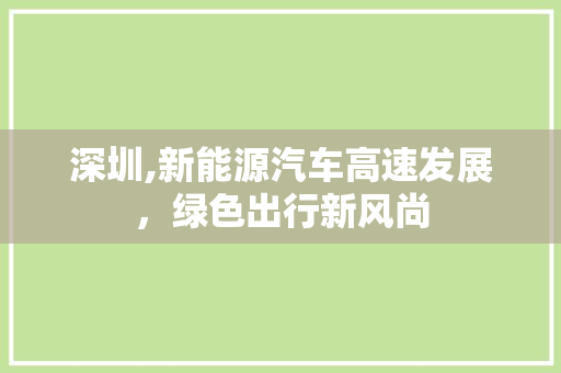深圳,新能源汽车高速发展，绿色出行新风尚