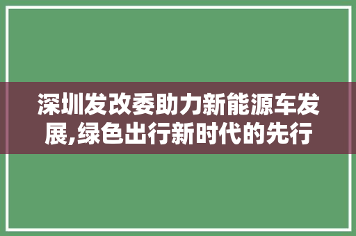 深圳发改委助力新能源车发展,绿色出行新时代的先行者