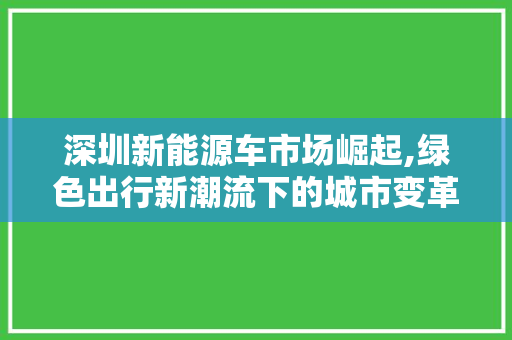 深圳新能源车市场崛起,绿色出行新潮流下的城市变革