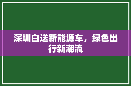 深圳白送新能源车，绿色出行新潮流