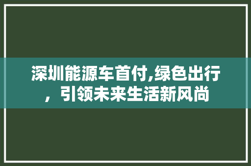 深圳能源车首付,绿色出行，引领未来生活新风尚