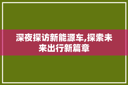 深夜探访新能源车,探索未来出行新篇章