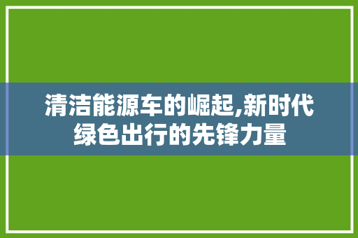 清洁能源车的崛起,新时代绿色出行的先锋力量