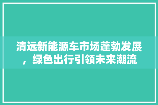 清远新能源车市场蓬勃发展，绿色出行引领未来潮流