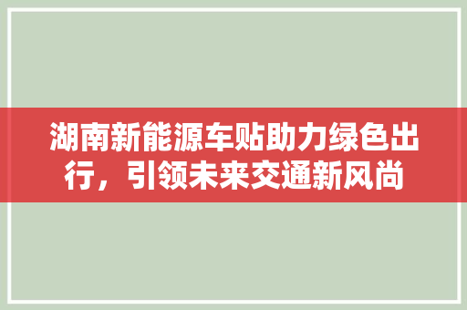 湖南新能源车贴助力绿色出行，引领未来交通新风尚
