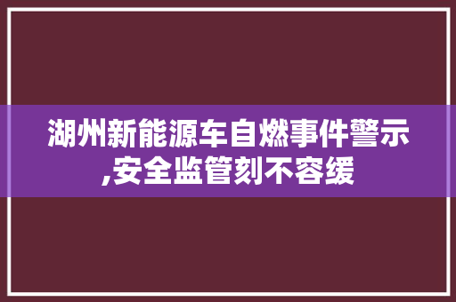 湖州新能源车自燃事件警示,安全监管刻不容缓