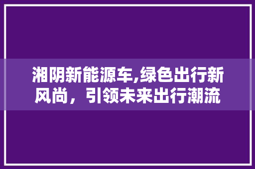 湘阴新能源车,绿色出行新风尚，引领未来出行潮流