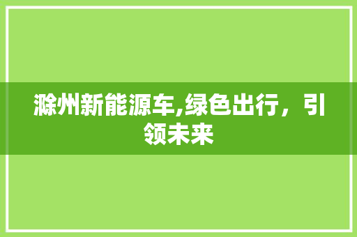 滁州新能源车,绿色出行，引领未来